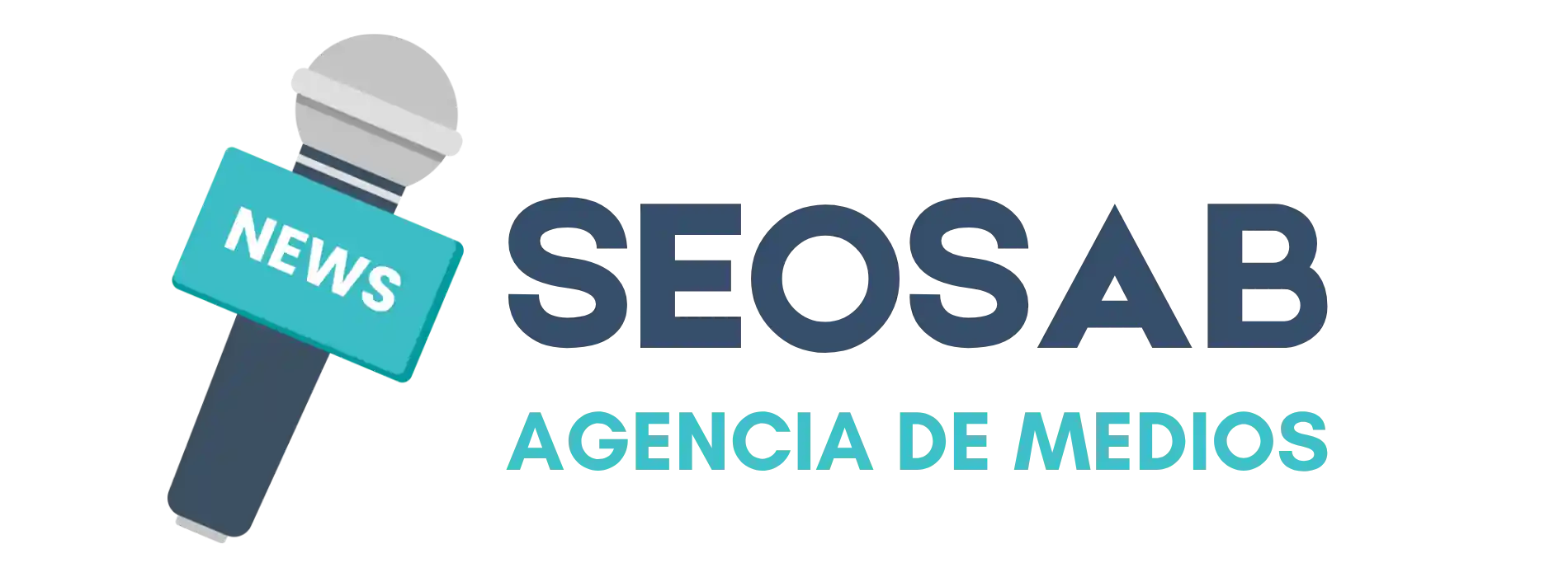 SEOSab - Agencia de medios