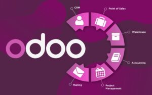 Odoo ERP System