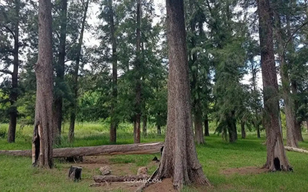 Reserva natural de Ciudad Evita