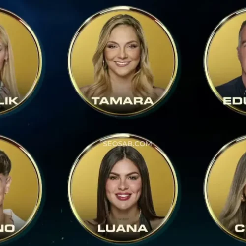 Encuesta de Gran Hermano