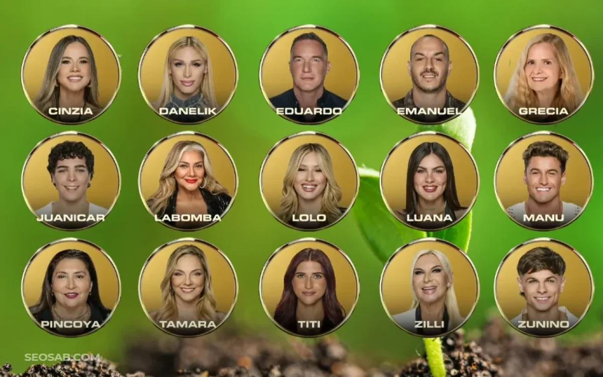Placa planta