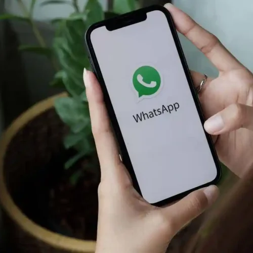 ¿Qué es Whatsapp Vip y como usar para Empresas?