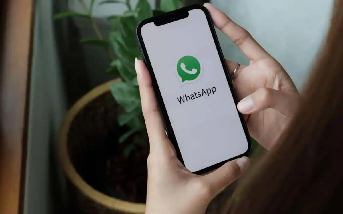 Whatsapp VIP